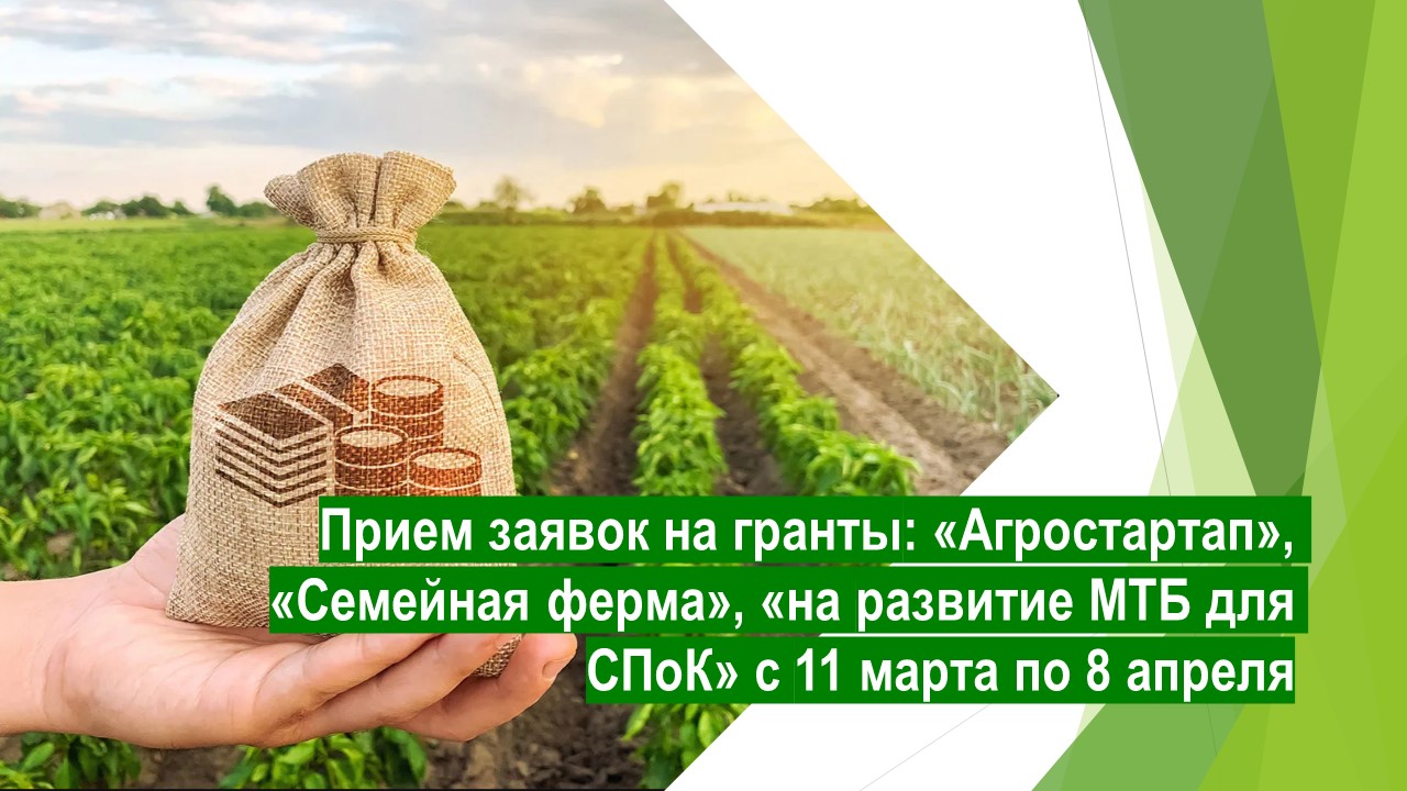 Прием заявок на гранты